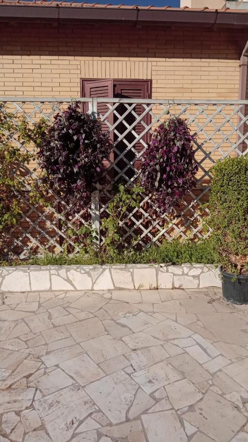 Rosilienza Suites Private Spa, Patio Garden Free Trasfer To & From Airport Фьюмичино Экстерьер фото